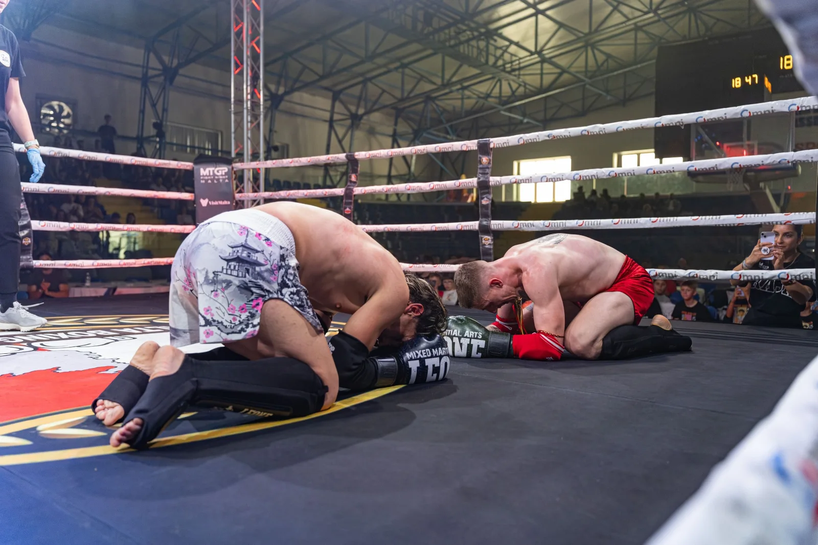 Grappling on the canvas