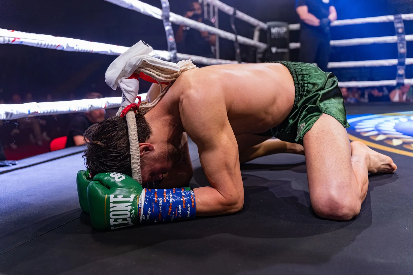 Fighter on the canvas